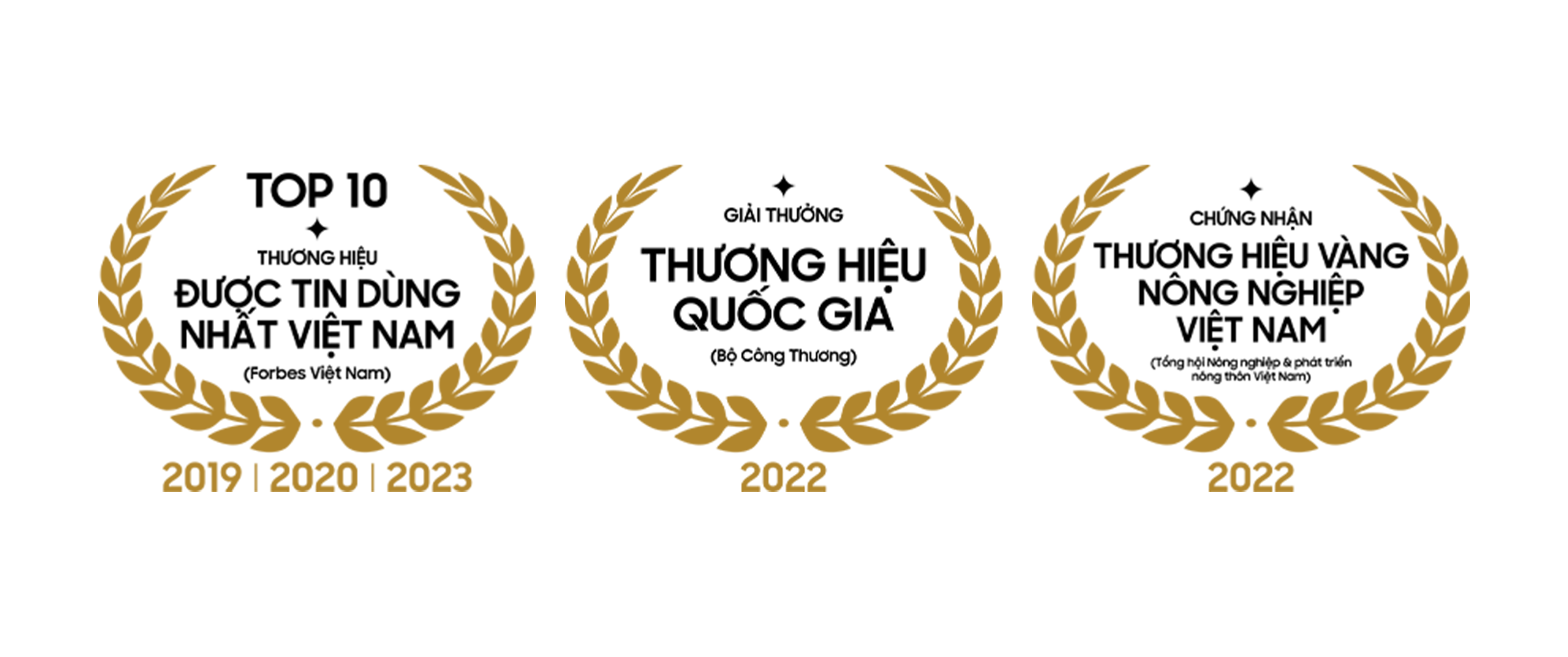 Tin tức